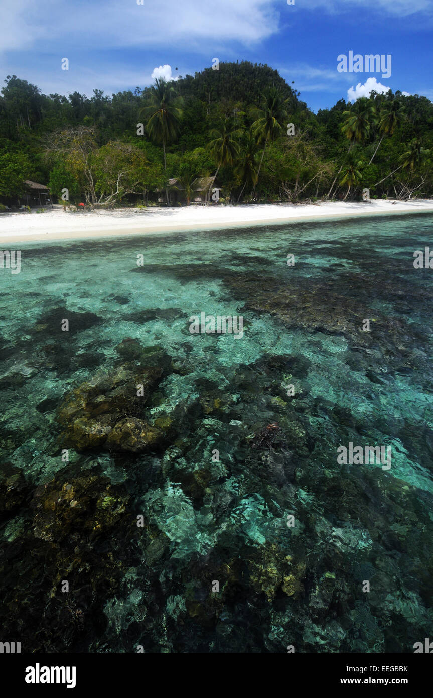 Reef and beach at Gam Island, Raja Ampat, Papua province, Indonesia. No PR Stock Photo