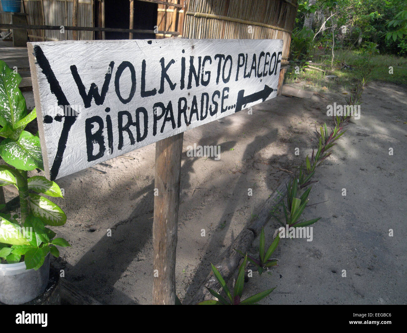 Signpost marking start of walking track to view red bird-of-paradise display tree, Gam Island, Raja Ampat, Papua province, Indon Stock Photo