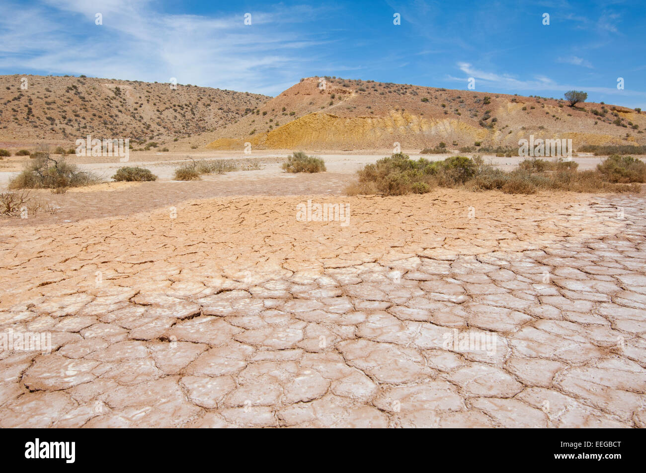 Dried Creekbed, between Marree and Arkaroola, South Australia Stock Photo