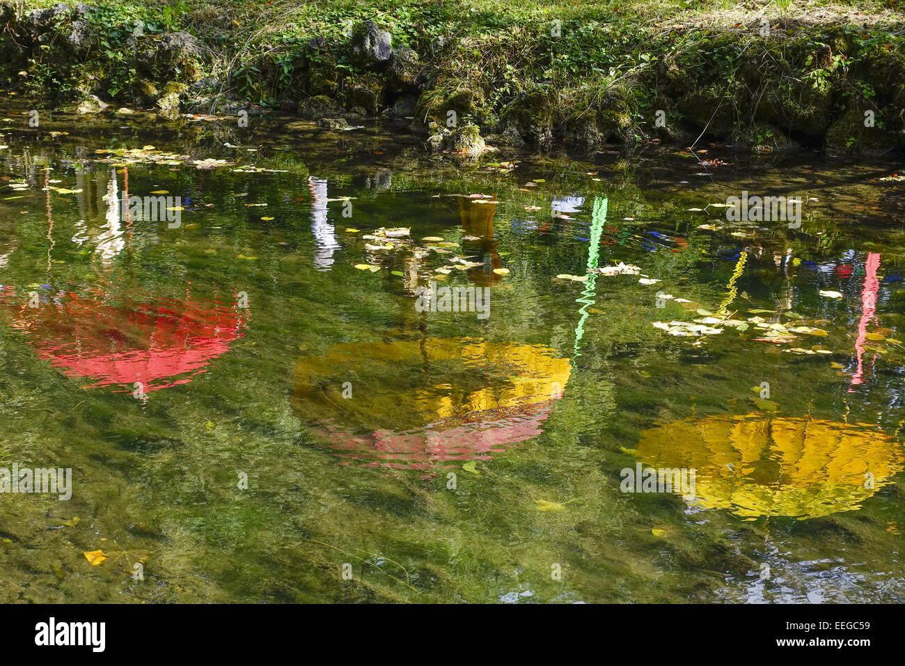 Farbige Sonnenschirme spiegeln sich in einem Teich, Colored umbrellas are reflected in a pond, waters, water, pond, nature, refl Stock Photo