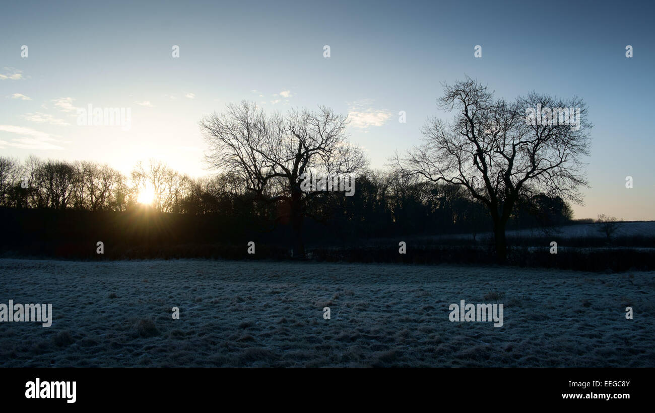 Winter countryside scene at sunset Stock Photo - Alamy