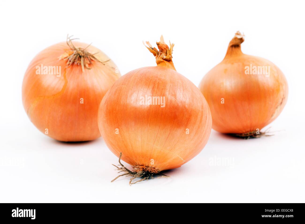 Fresh onions hi-res stock photography and images - Alamy