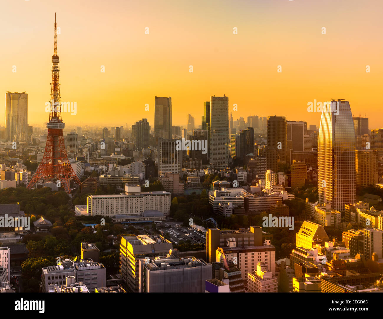 View of Tokyo Skyline Tokyo, Japan. Stock Photo