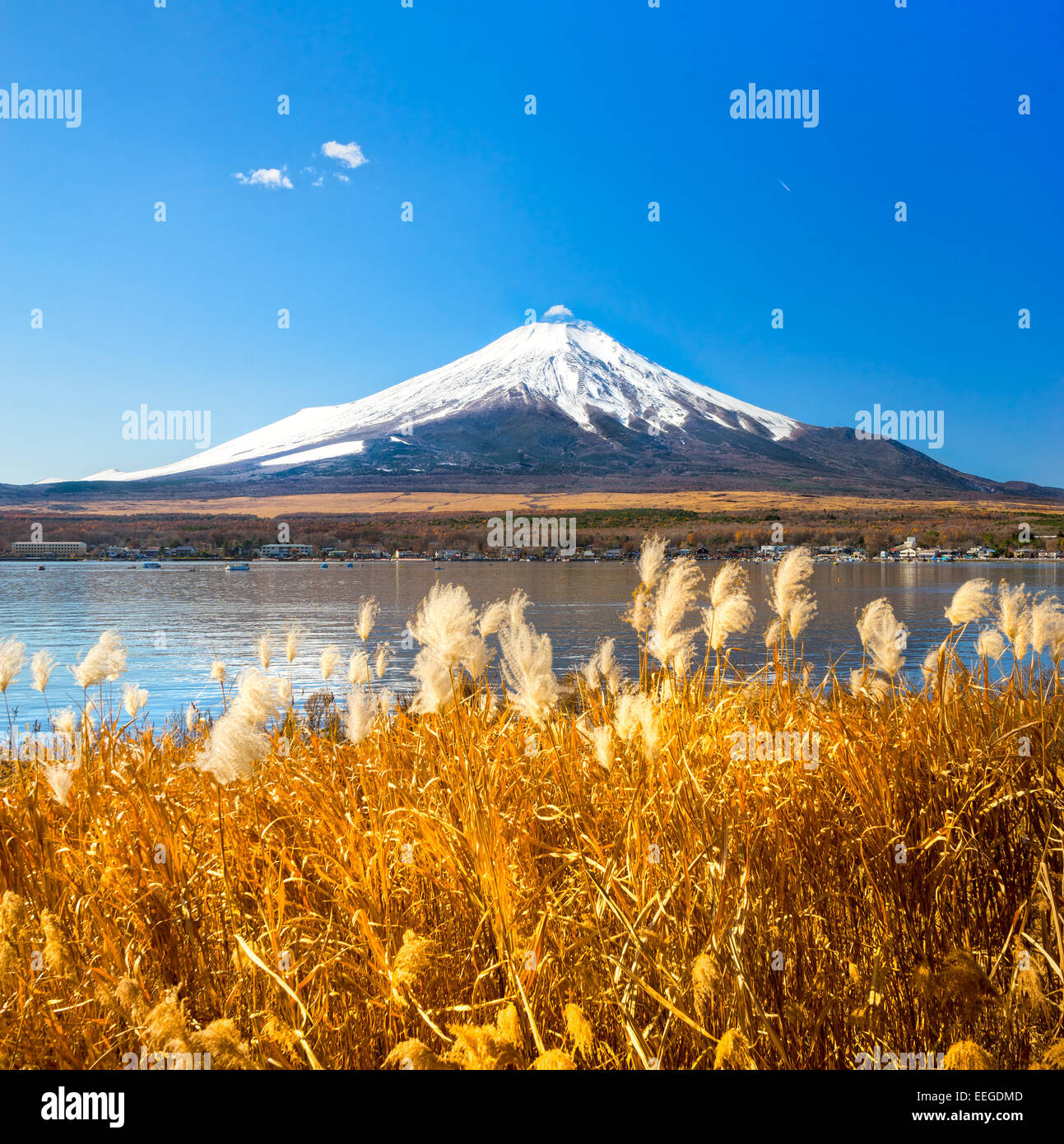 Mount Fuji reflected in Lake Yamanaka at dawn, Japan Stock Photo - Alamy