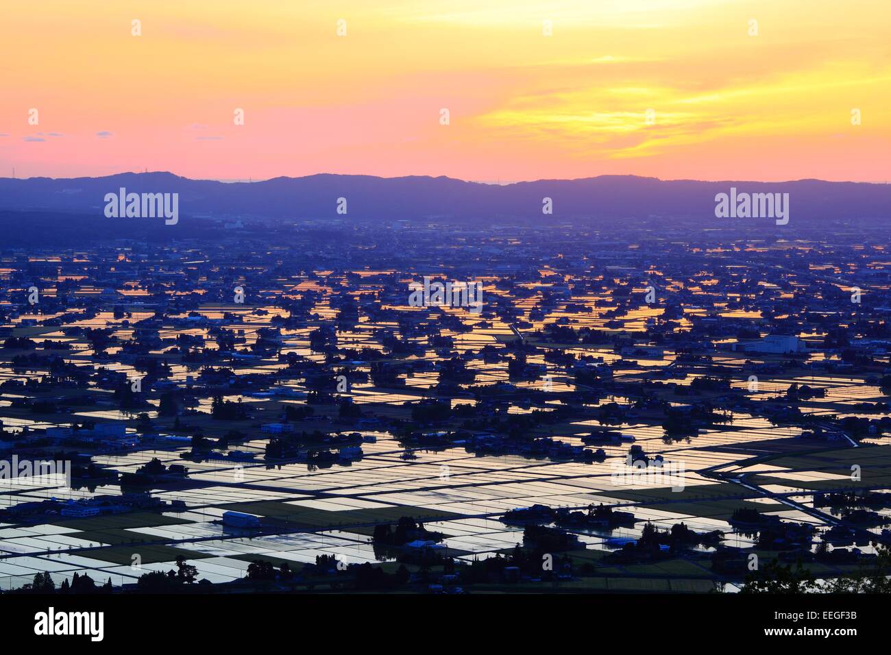Paddy field at twilight, Nanto city, Toyama, Japan Stock Photo