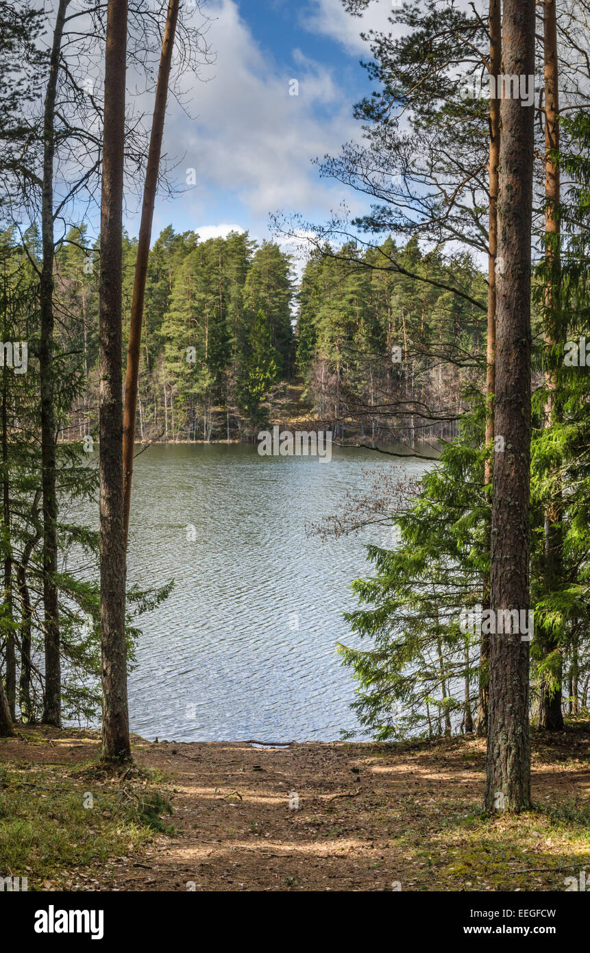 Spring landscape at wood lake Stock Photo