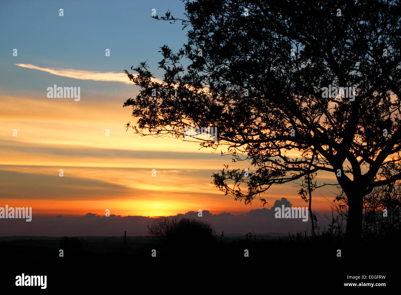 A winter sunset with a tree silhouetted in the foreground. Stock Photo