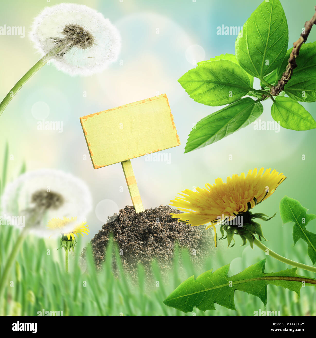 Spring or summer abstract nature background Stock Photo - Alamy