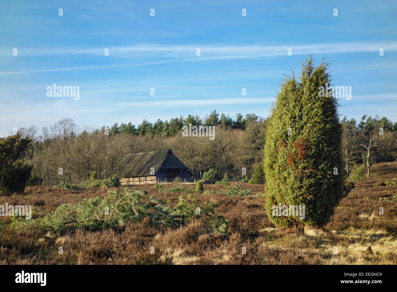 Landscape in the Lueneburger Heide (Germany) Stock Photo