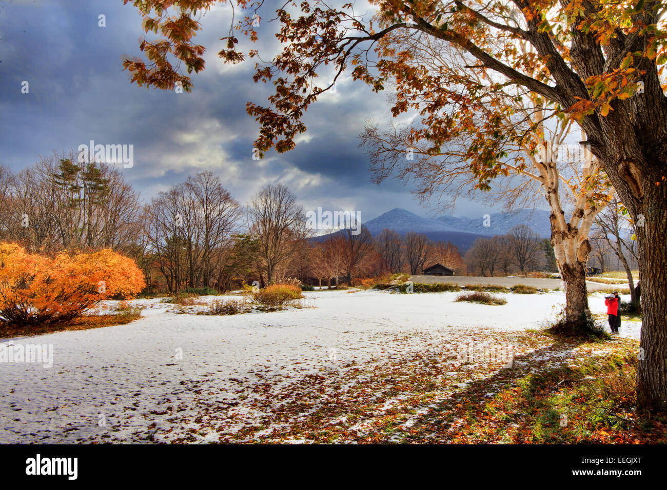 An Image of Hakkoda Mountain for adv or others purpose use for adv or others purpose use Stock Photo