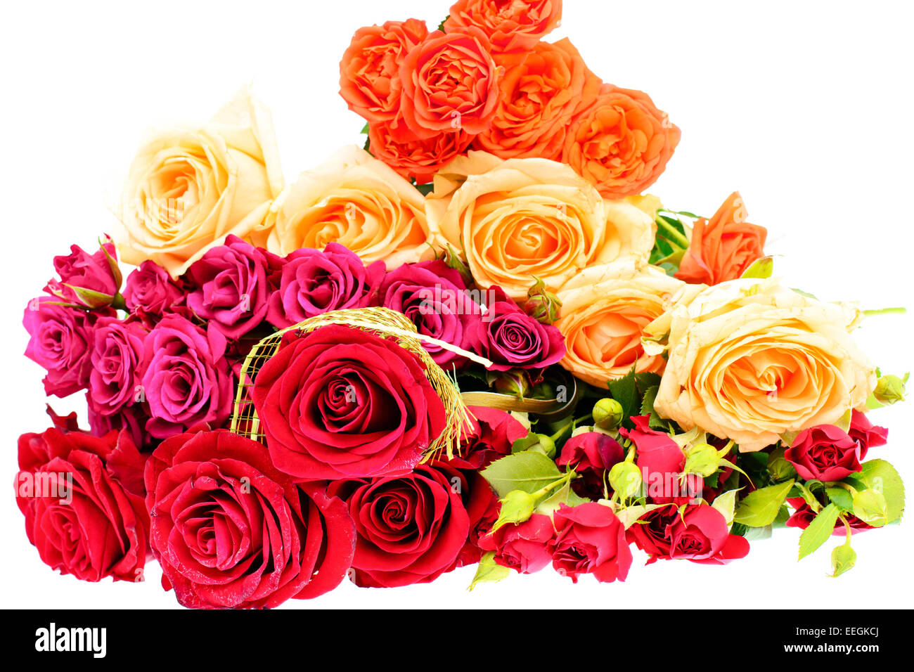 Beautiful Colorful Flowers Bouquet Isolated on White Background Stock ...