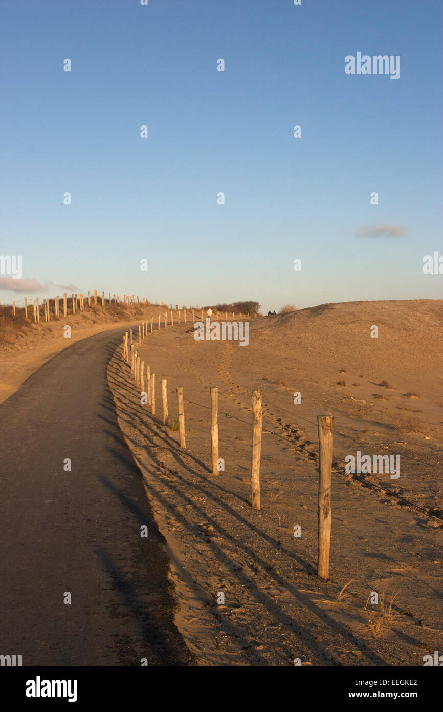 Sand dunes near The Hague, Netherlands Stock Photo - Alamy