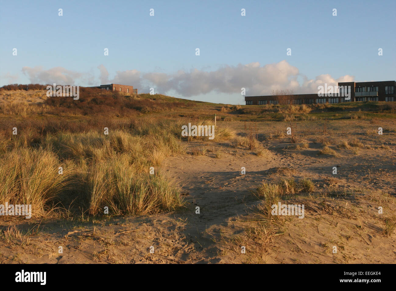 Sand dunes near The Hague, Netherlands Stock Photo - Alamy