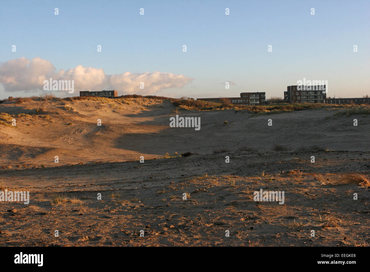 Sand dunes near The Hague, Netherlands Stock Photo - Alamy