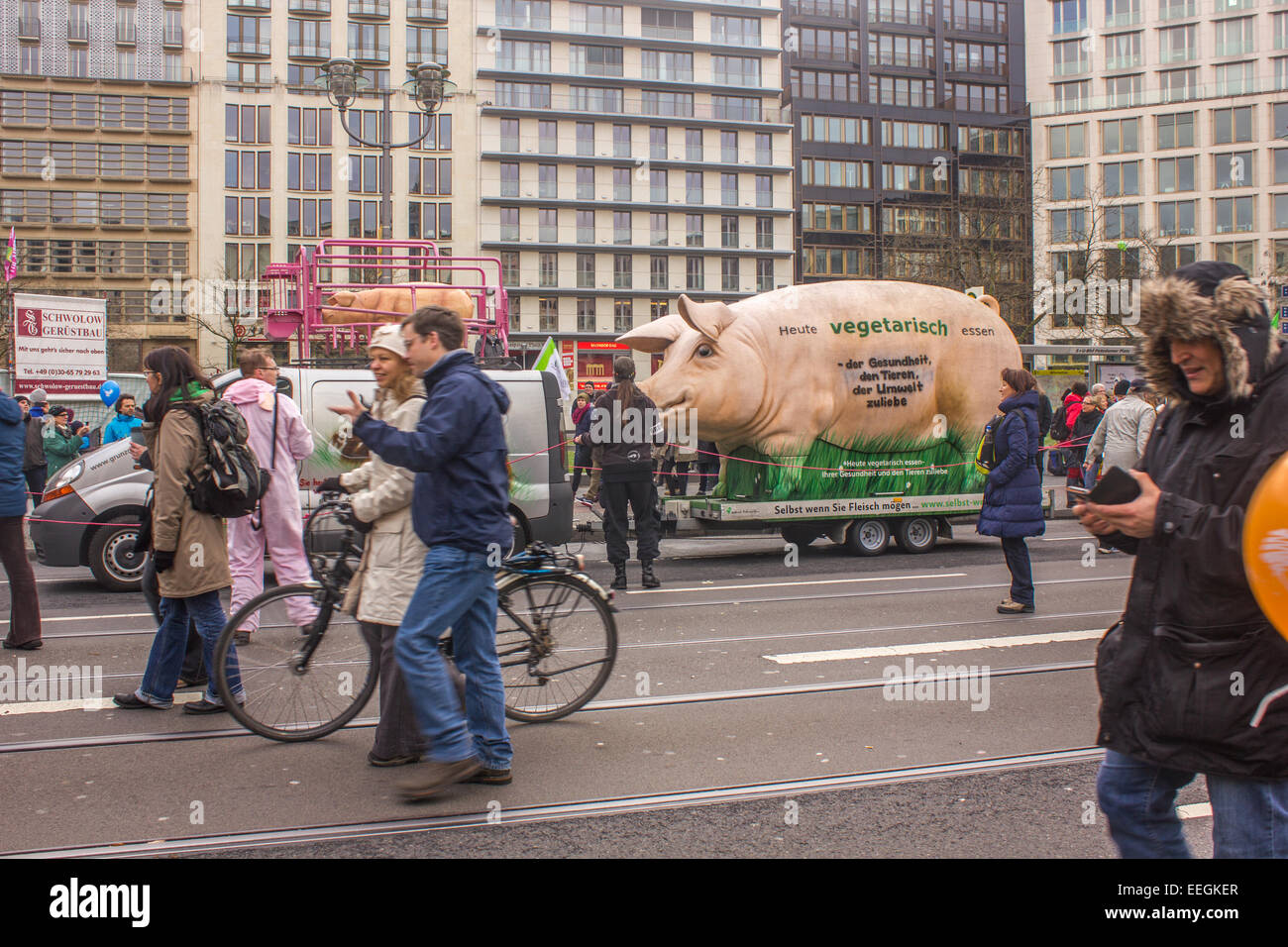 Thousands of people protest against industrial barns, where animals are in sufferable conditions on January 17, 2015 in Berlin. Stock Photo