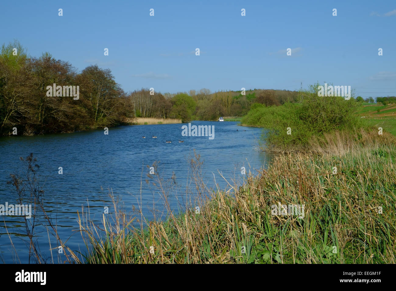 The River Thames running through fields near Abingdon, Oxfordshire ...
