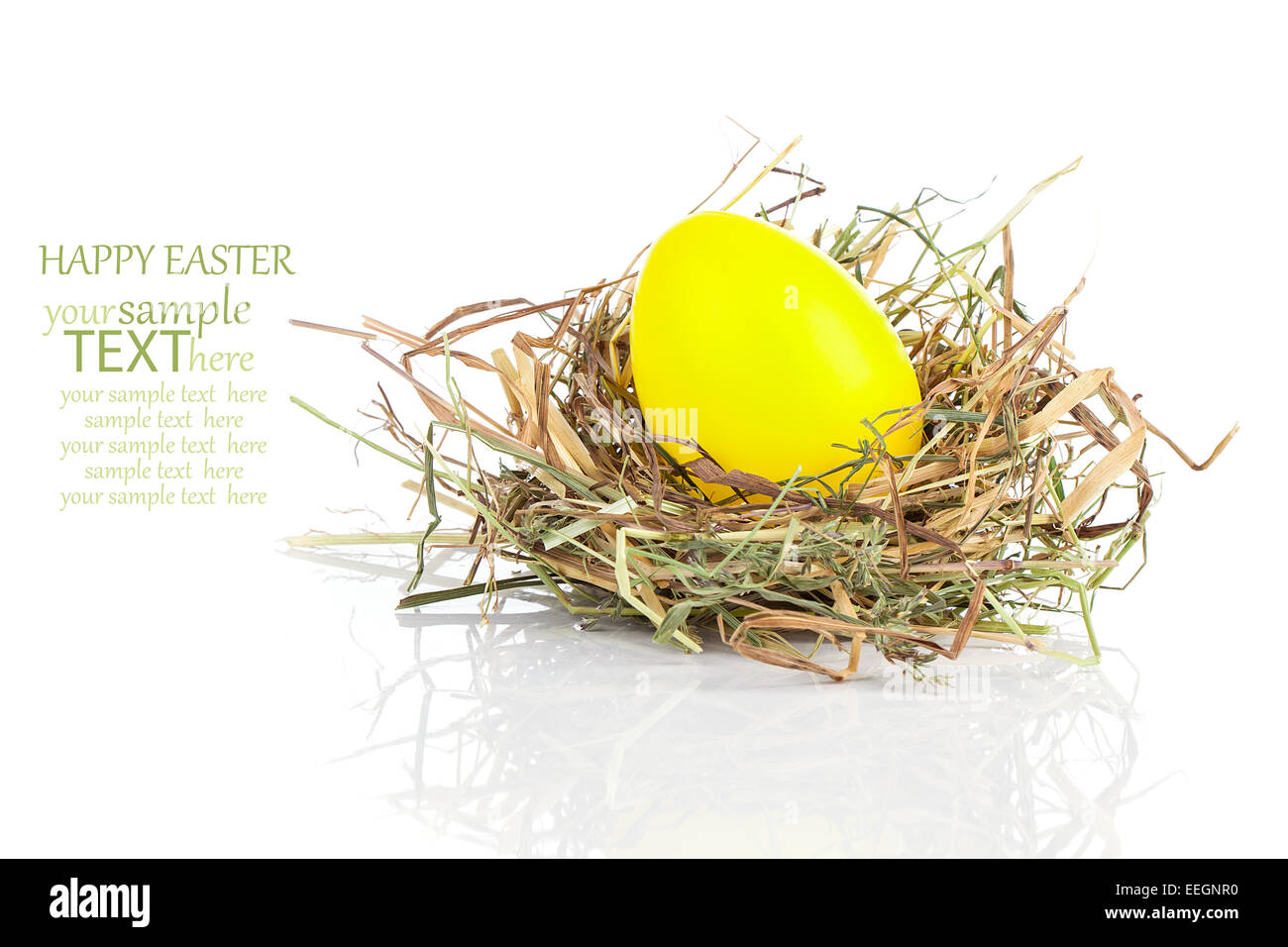 yellow eggs in nest isolated on white Stock Photo - Alamy