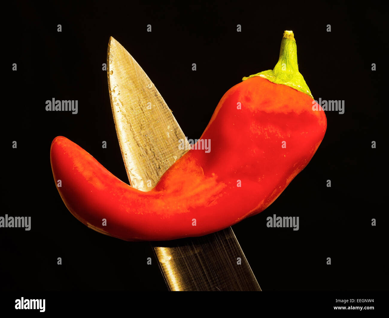 A bright red chili pepper stabbed with a kitchen knife. Stock Photo