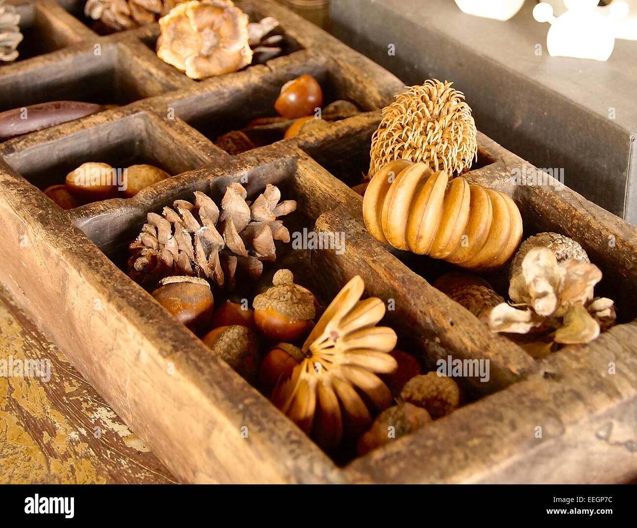 The close view of dried seeds and nuts Stock Photo - Alamy