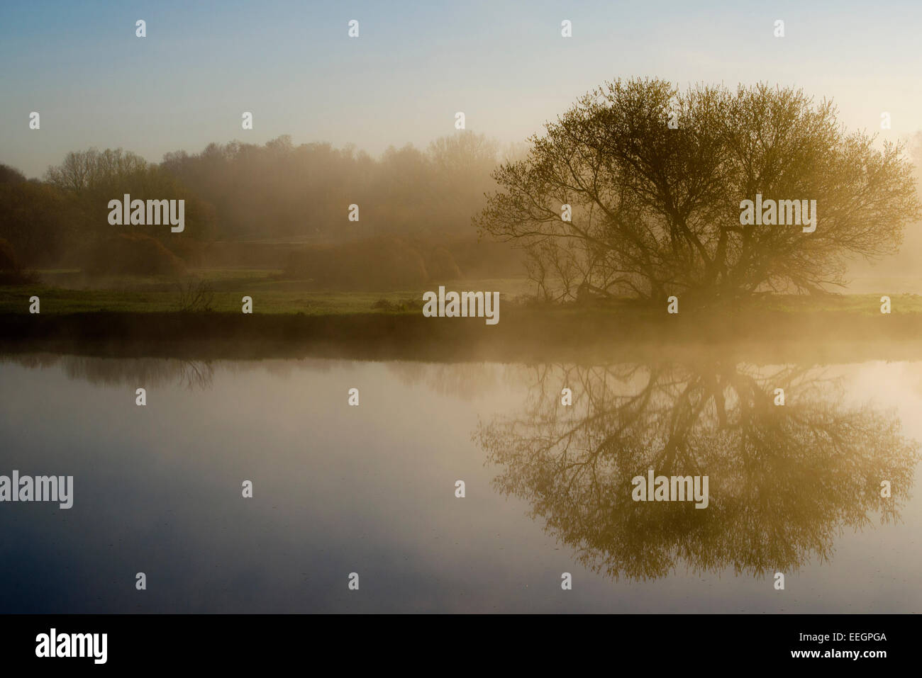 Sunrise Landscape tree reflection in fog on Otselic river in Whitney Point New York, Broome County Southern Tier Region, North America USA. Stock Photo