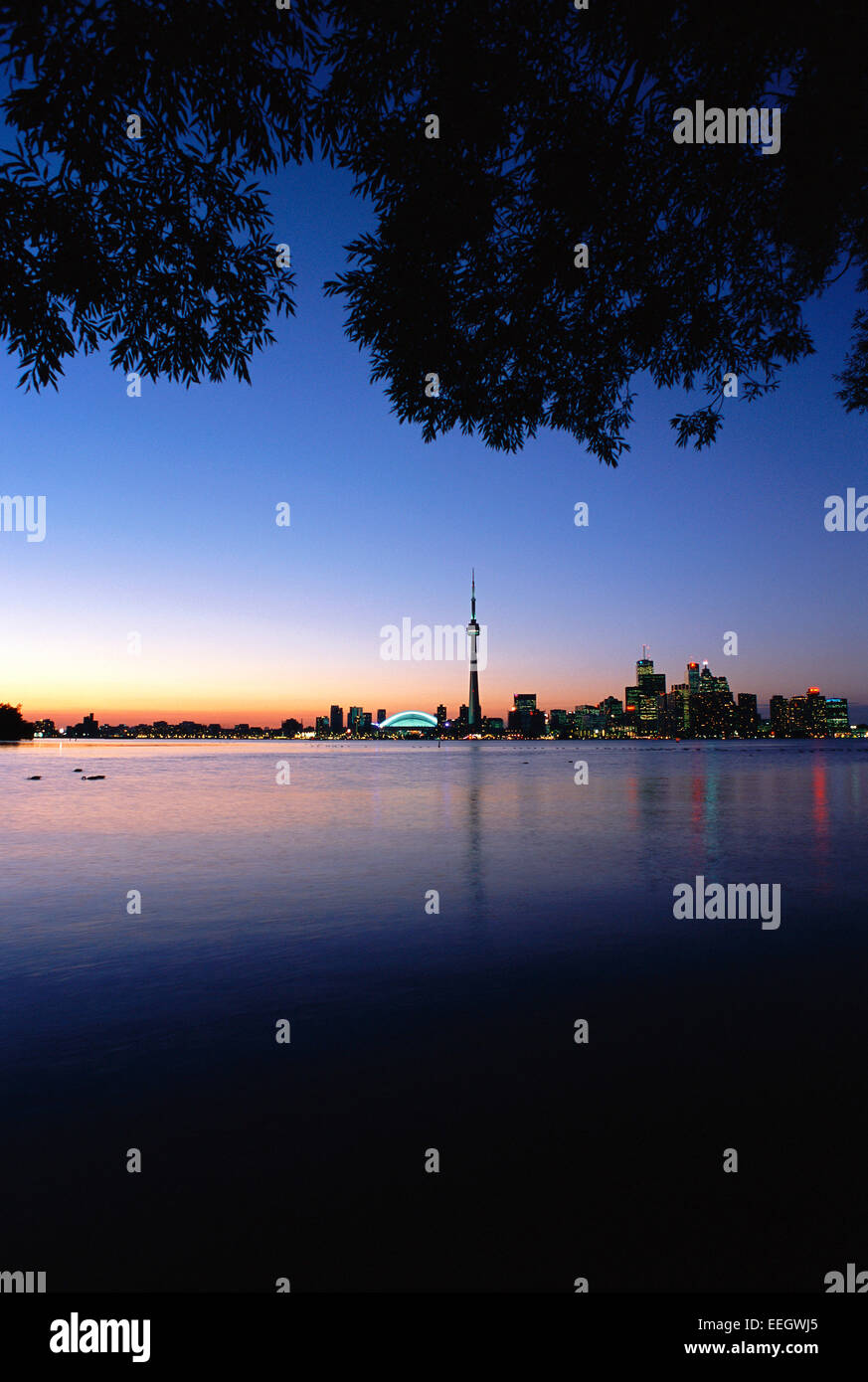 Toronto Skyline from Toronto Islands,Ontario Canada Stock Photo Alamy