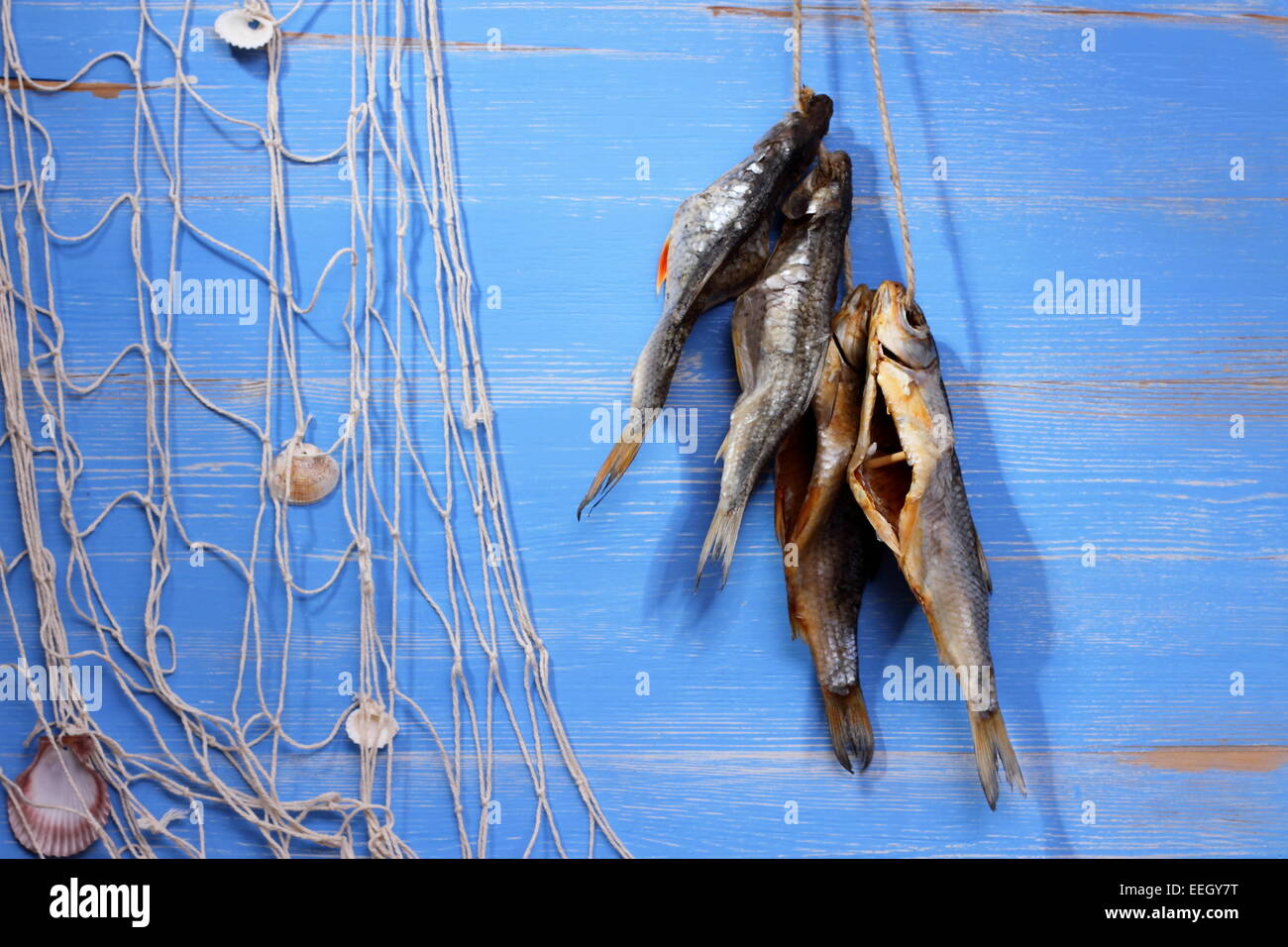 https://c8.alamy.com/comp/EEGY7T/dried-rudd-fish-and-fishing-net-on-blue-background-horizontal-EEGY7T.jpg