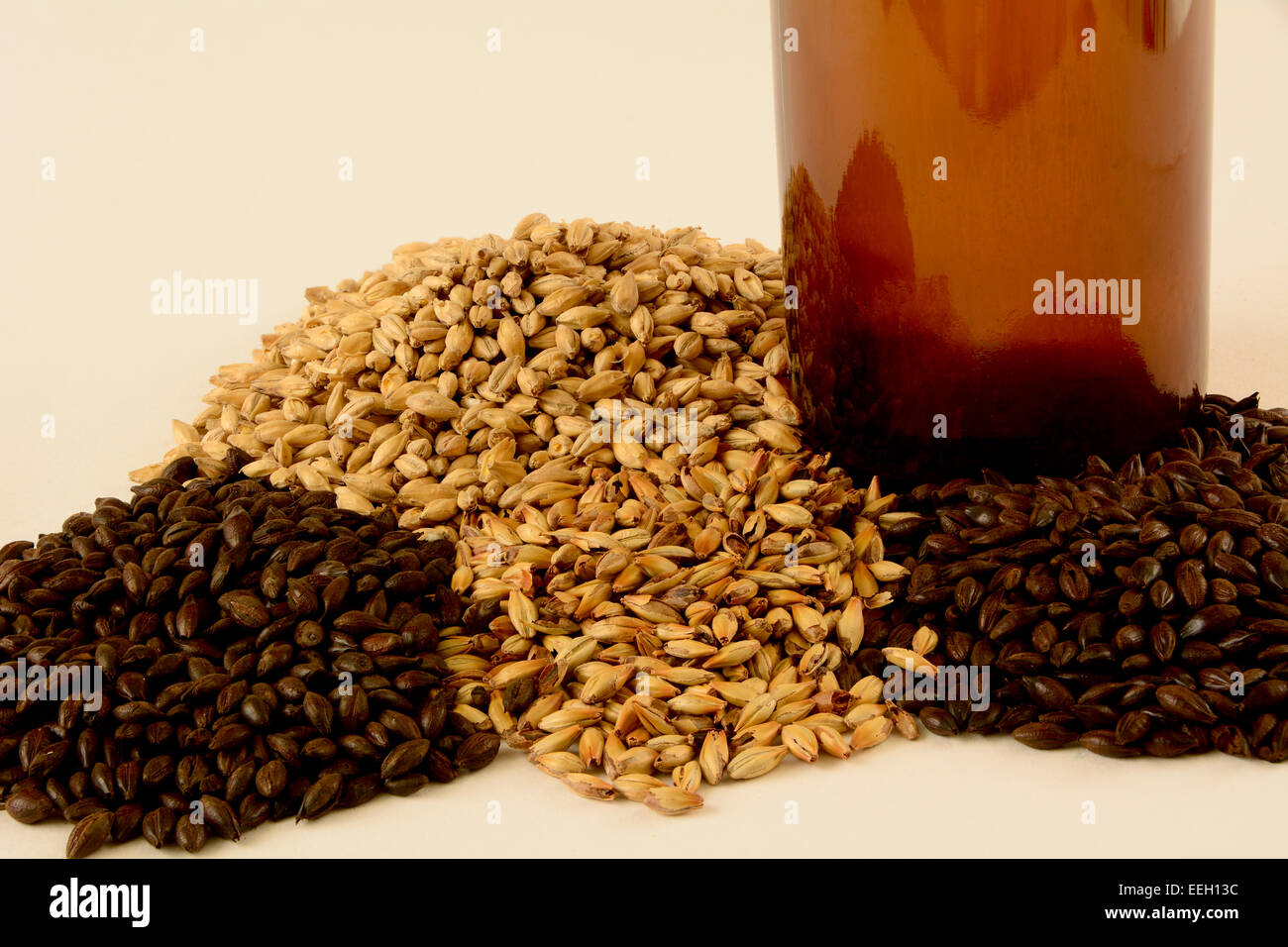 Grains used for craft brewing beer and stout at home Stock Photo