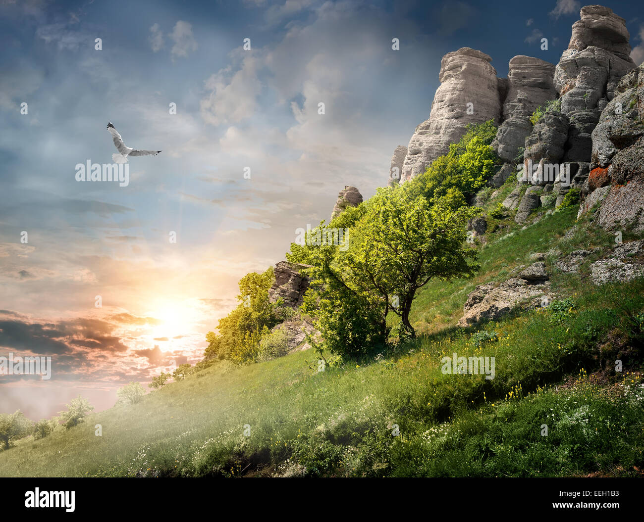 Big bird over trees on the mountain Stock Photo