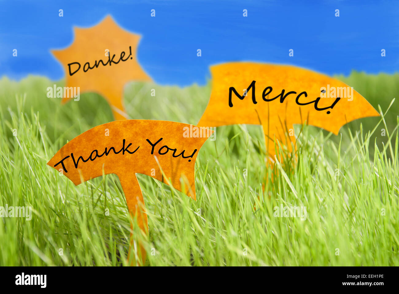 Three Labels With German Text Danke And French Text Merci Which Means Thank You On Sunny Green Grass For Spring Or Summer Feelin Stock Photo