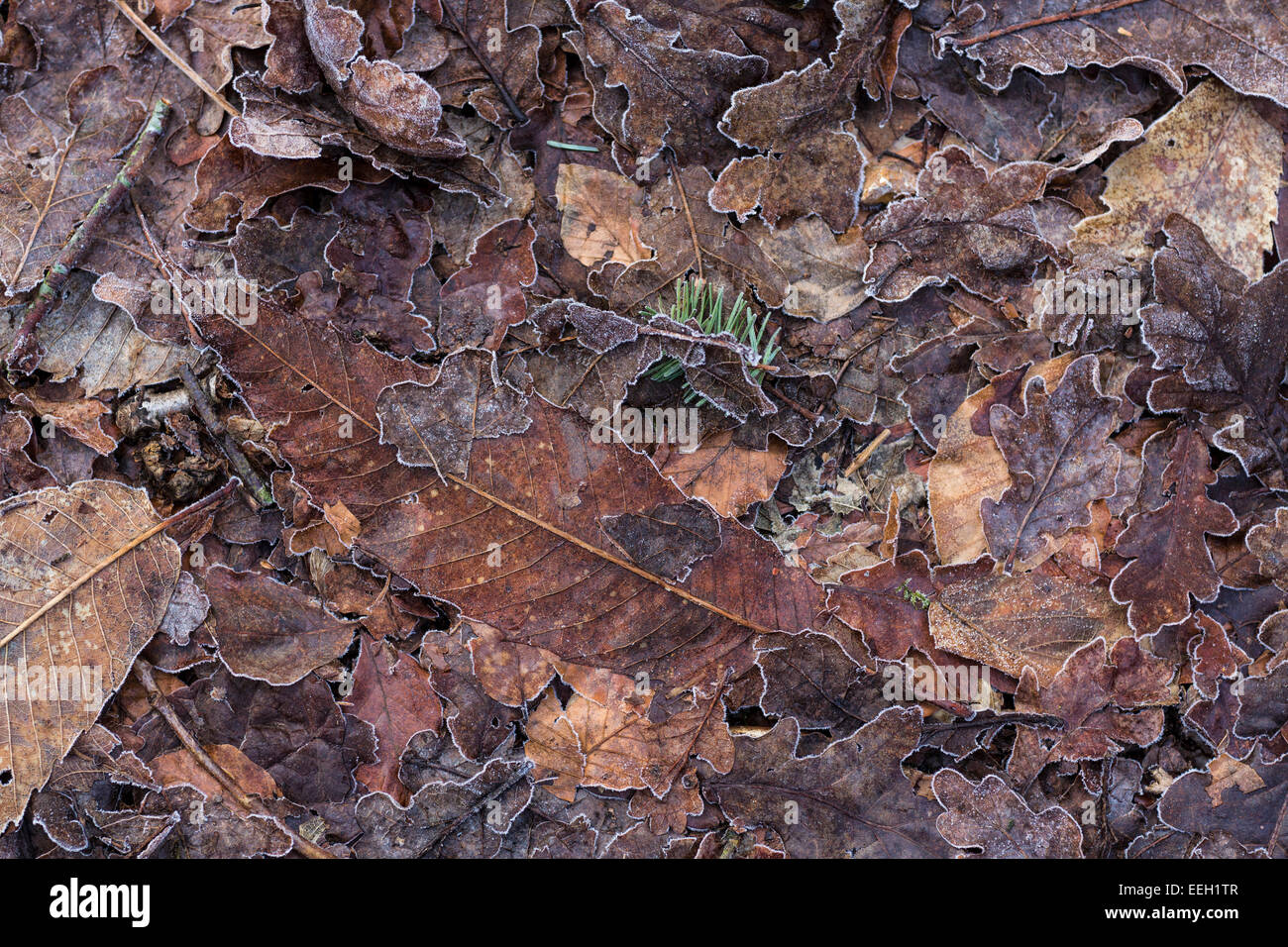 Hollybank lane hires stock photography and images Alamy