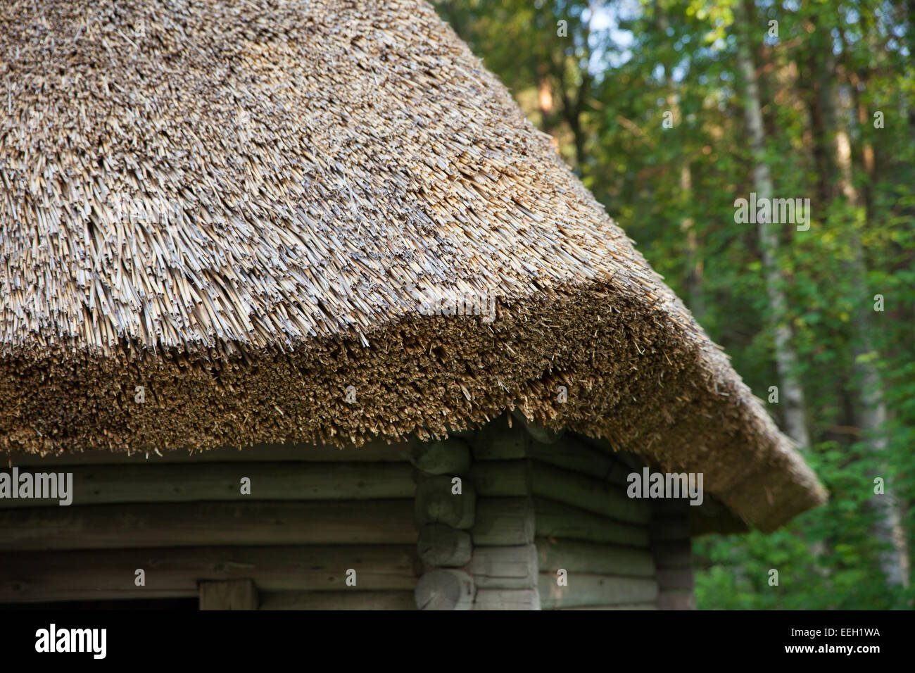 Roof made of reed hires stock photography and images Alamy