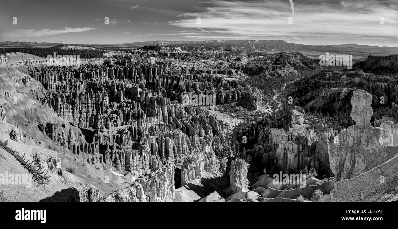 Bryce Canyon Panorama Stock Photo