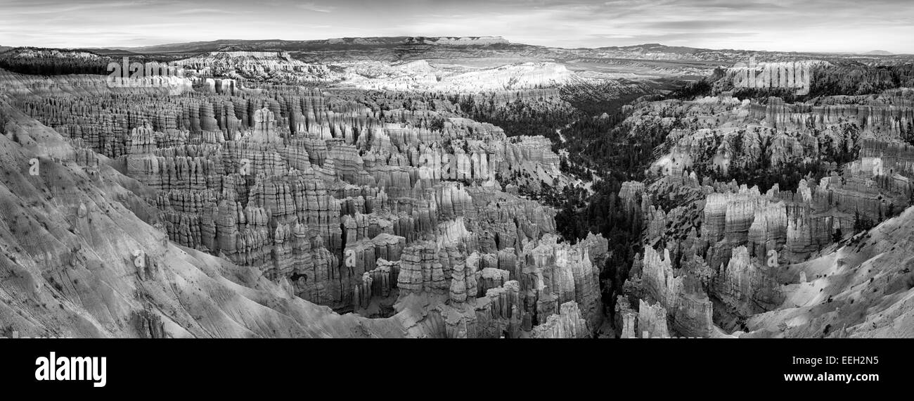 Bryce Canyon Panorama Stock Photo