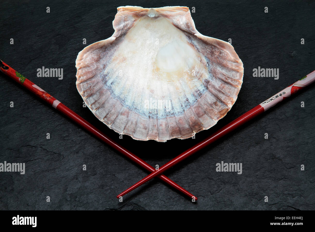 picture of scallop shell and red chinese chopsticks Stock Photo Alamy