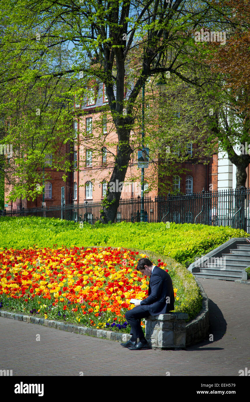 Business lunch dublin ireland hires stock photography and images Alamy