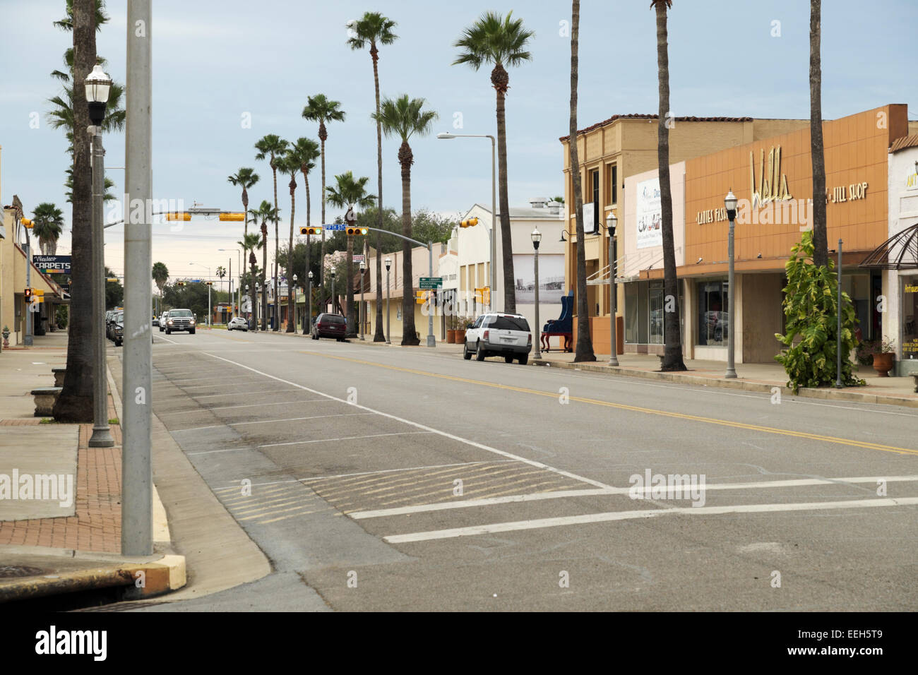 Palm fronts hires stock photography and images Alamy