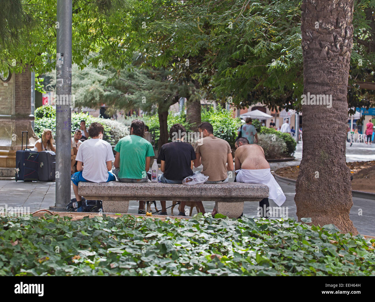 youth sitting on a bench in a park Stock Photo - Alamy