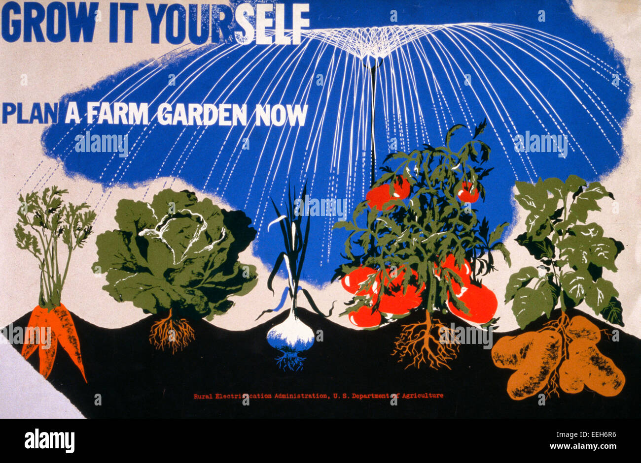 Grow it yourself Plan a farm garden now. Poster for the U.S. Department of Agriculture promoting victory gardens, showing carrots, lettuce, corn, tomatoes, and potatoes growing, circa 1943 Stock Photo