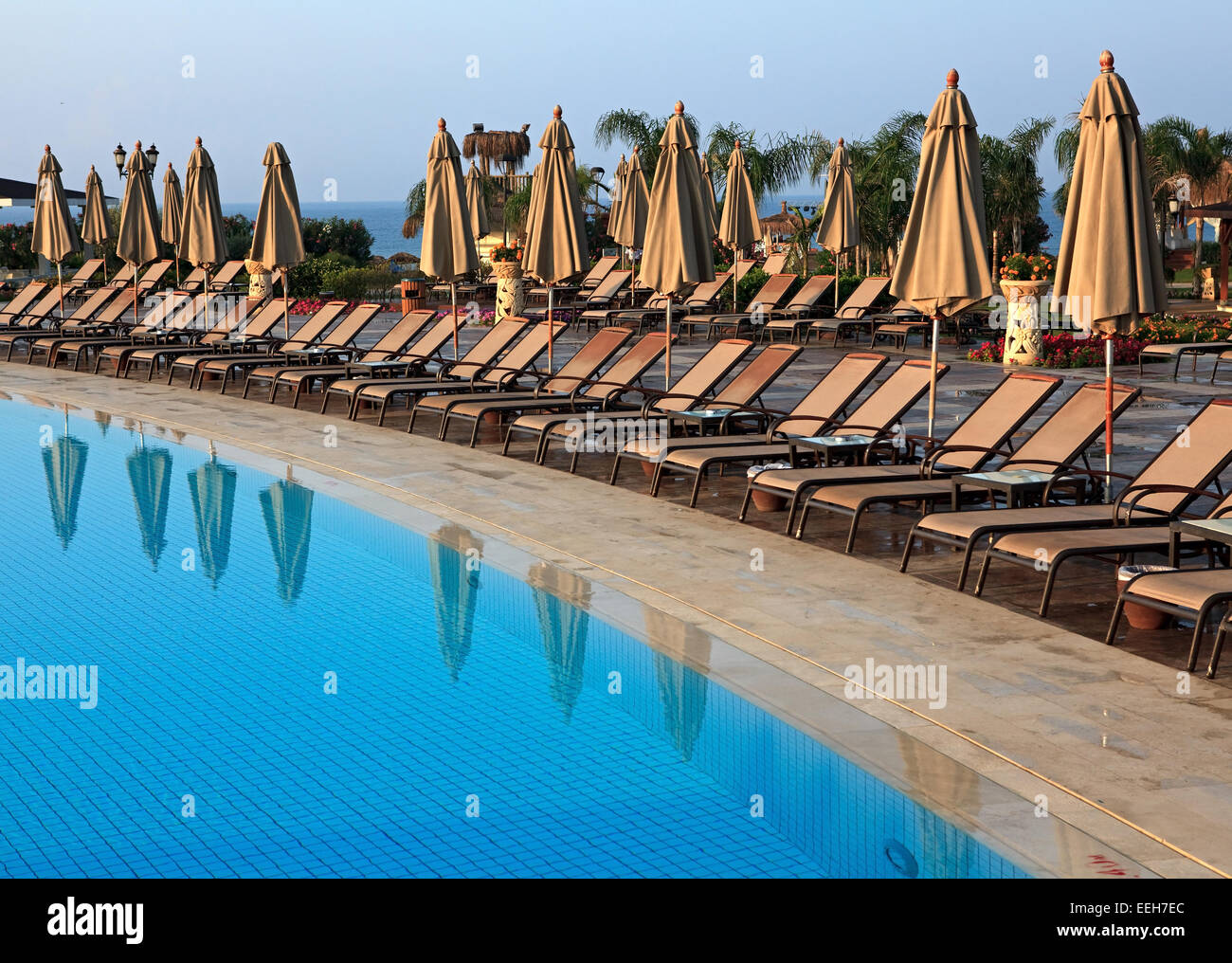 Chaise longue and umbrellas near the pool Stock Photo - Alamy