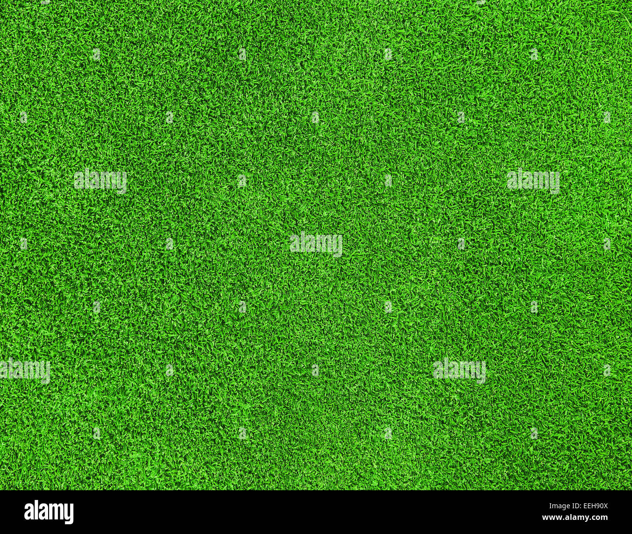 beautiful green grass texture on golf course Stock Photo - Alamy