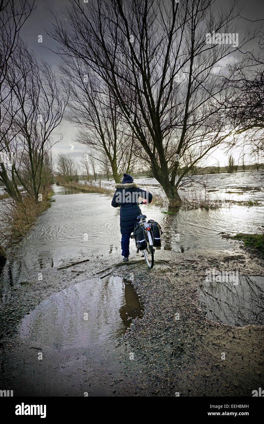 flooded track to geldeston locks in geldeston marshes norfolk uk Stock Photo Alamy