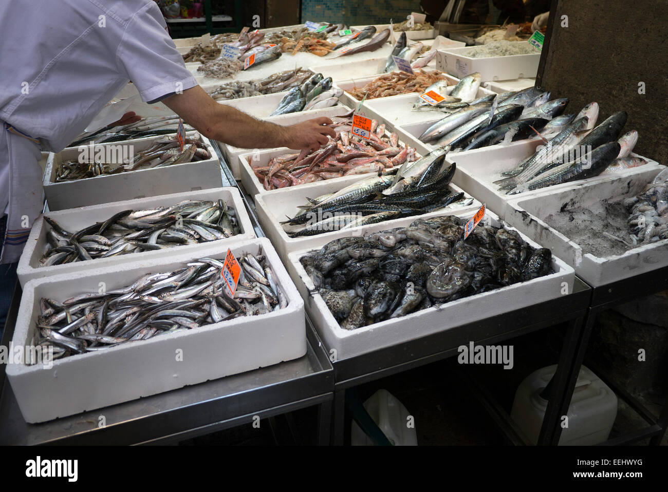 Expanded polystyrene boxes hires stock photography and images Alamy