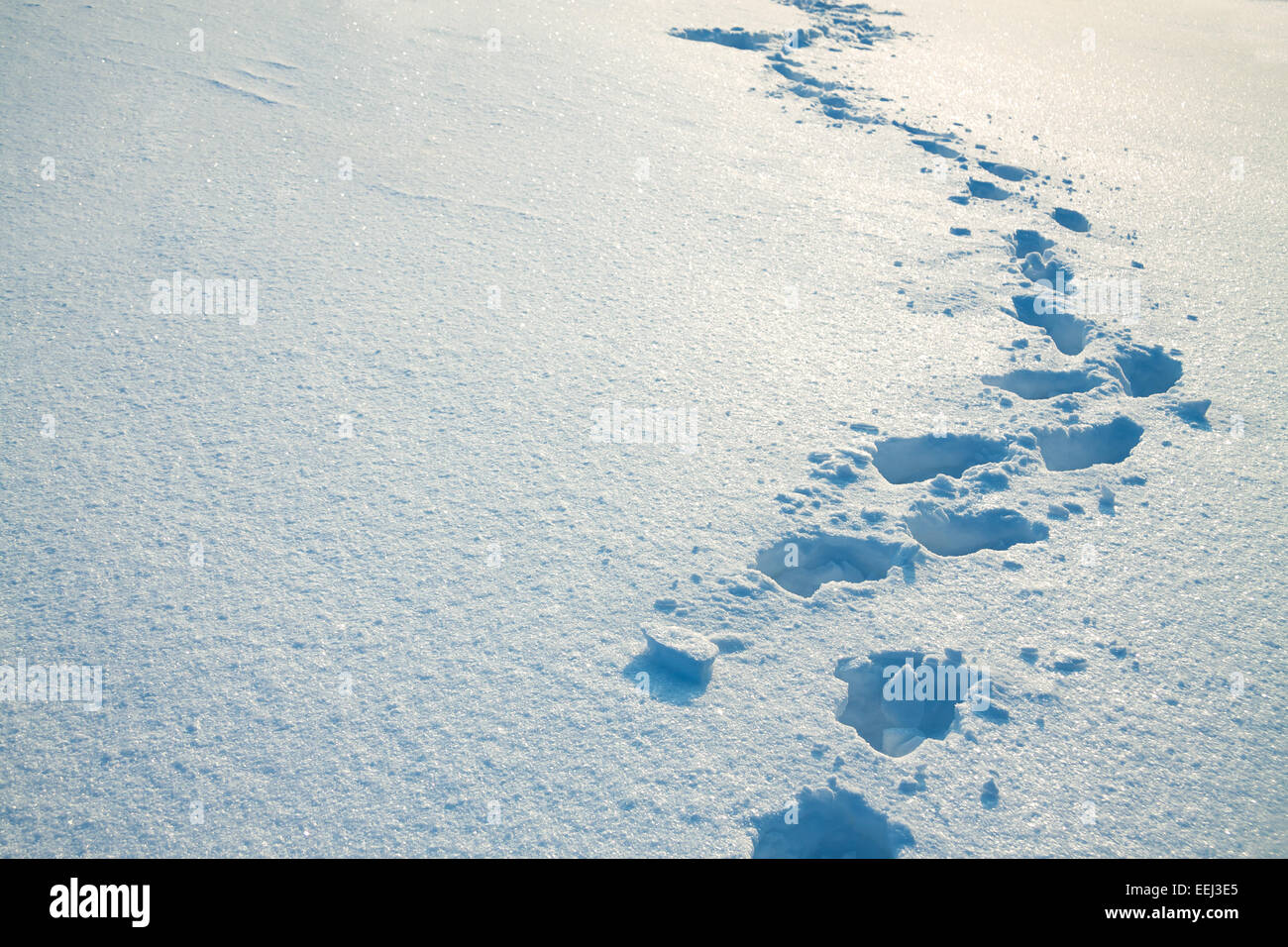 lonely traces of the person on snow Stock Photo - Alamy