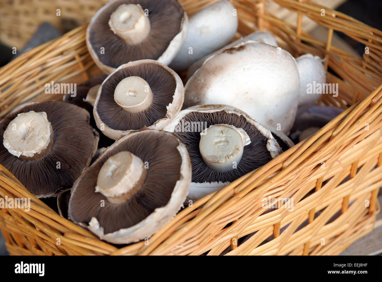 Fresh edible mushrooms in baskets at a farm shop or farmers market Stock Photo