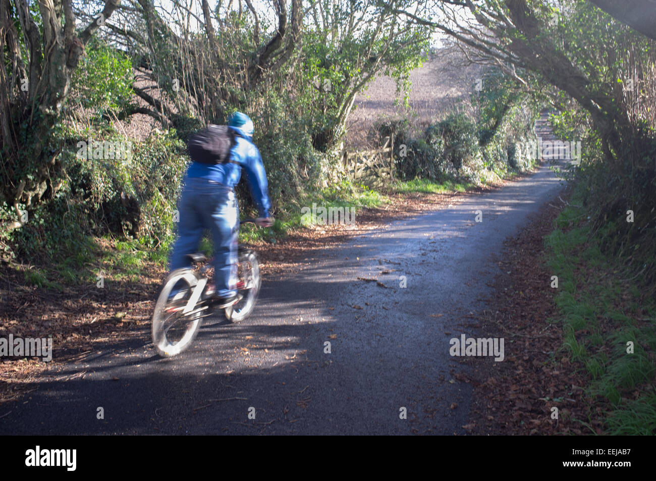 A cyclist on a lane in Cornwall, UK Stock Photo