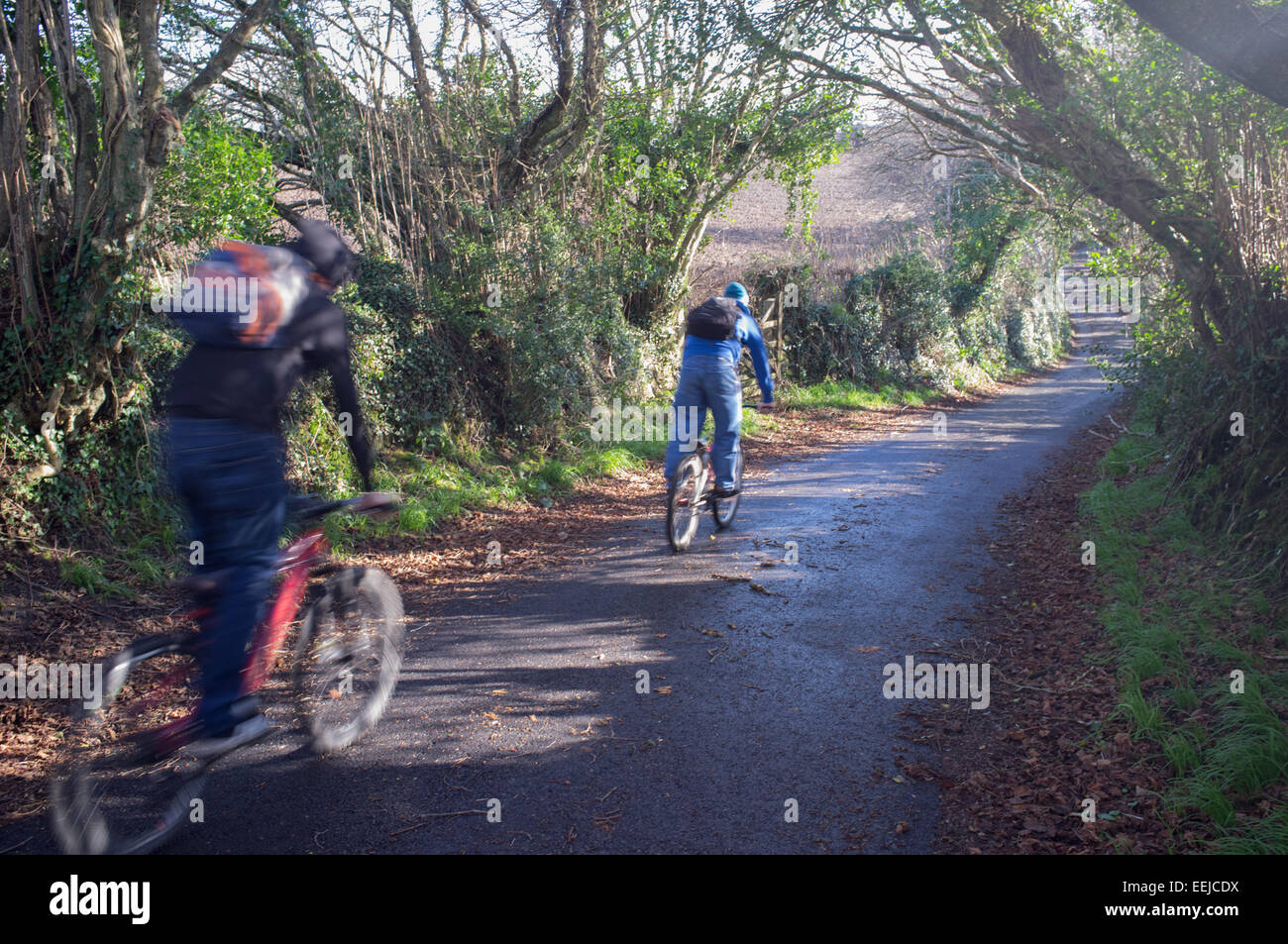 Two cyclists on a lane in Cornwall, UK Stock Photo