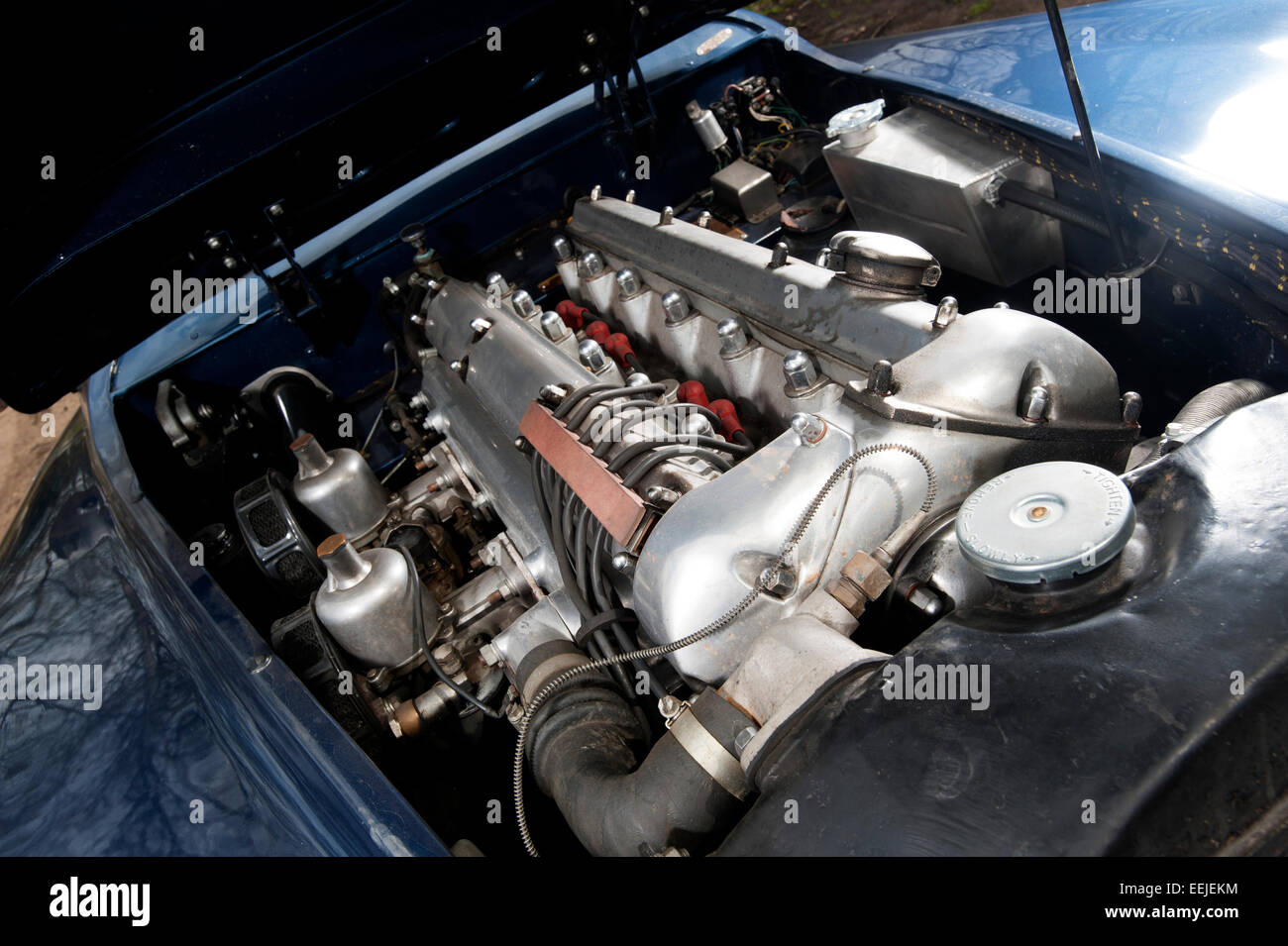 Jaguar XK120 classic British open sports car engine Stock Photo Alamy