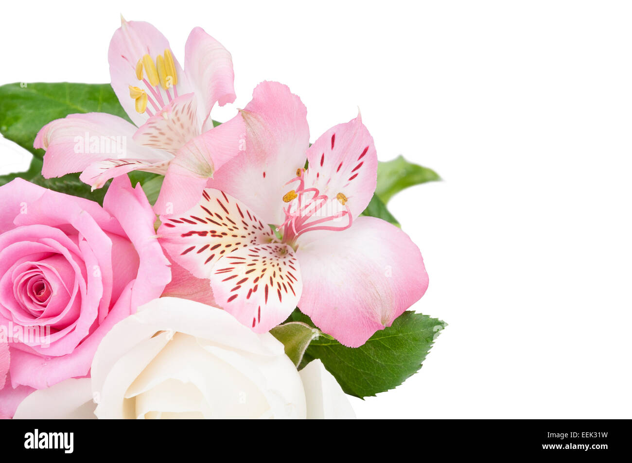 Bouquet of pink flowers isolated on a white background Stock Photo - Alamy