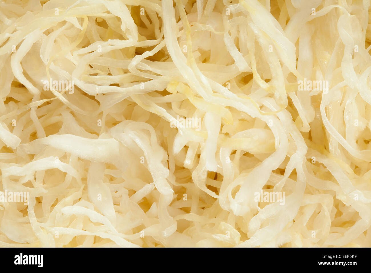 shredded cabbage texture Stock Photo