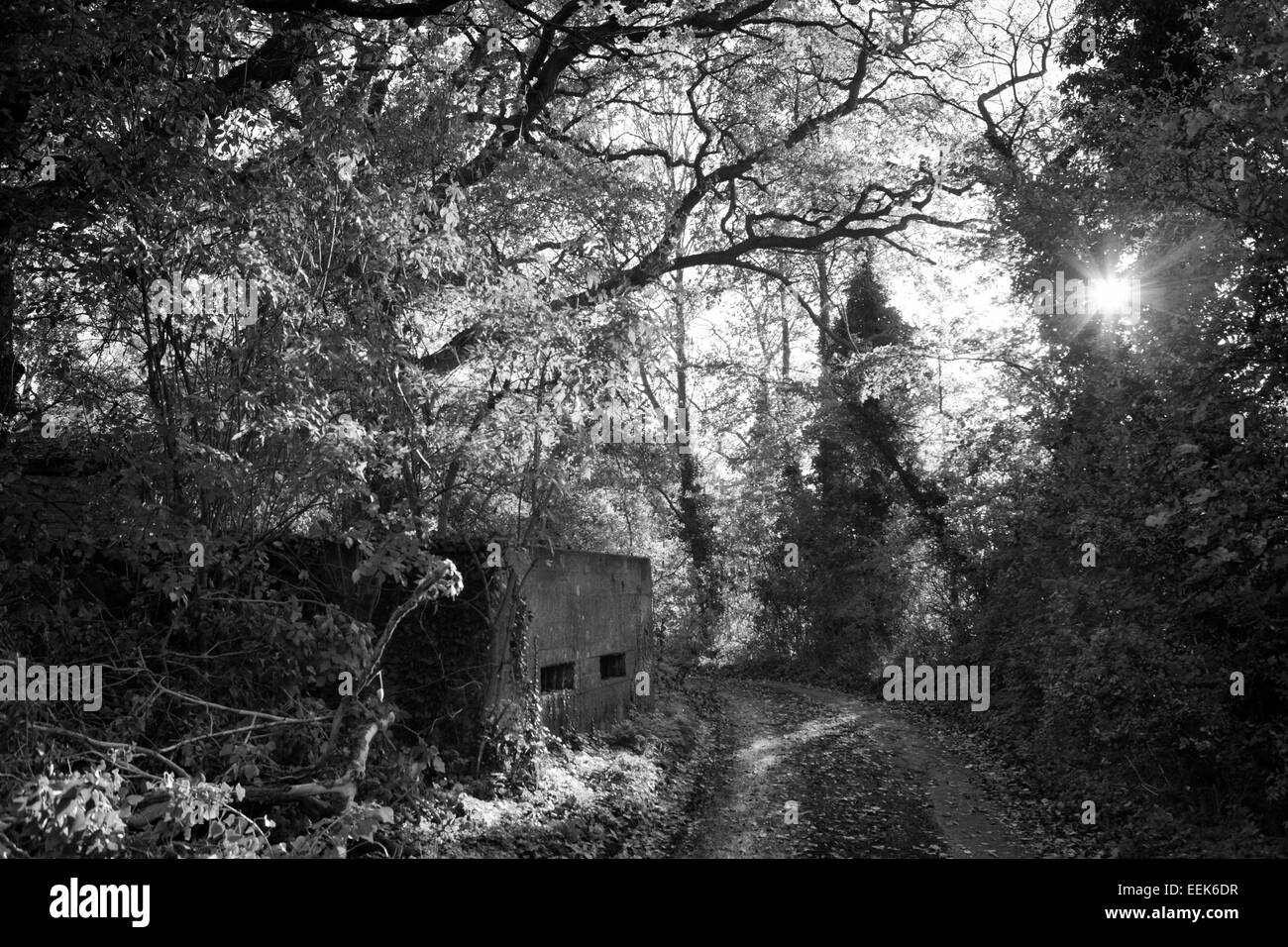 Country lane with pillbox in Mendham, Suffolk, UK Stock Photo